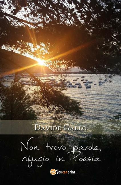 Non trovo parole, rifugio in poesia - Davide Gallo - ebook
