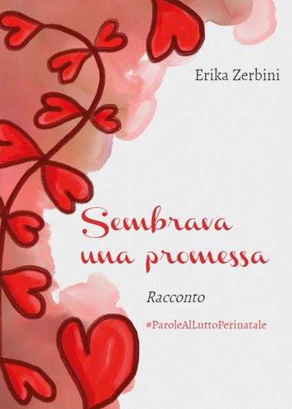 Sembrava una promessa - Erika Zerbini - copertina