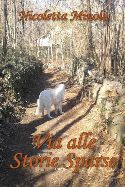 Via alle storie sparse - Nicoletta Minola - copertina