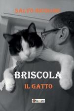 Briscola il gatto