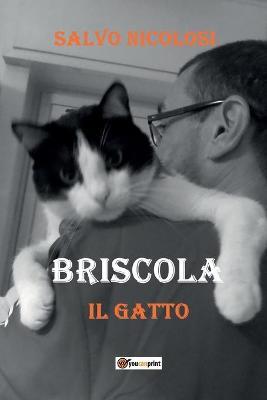 Briscola il gatto - Salvo Nicolosi - copertina