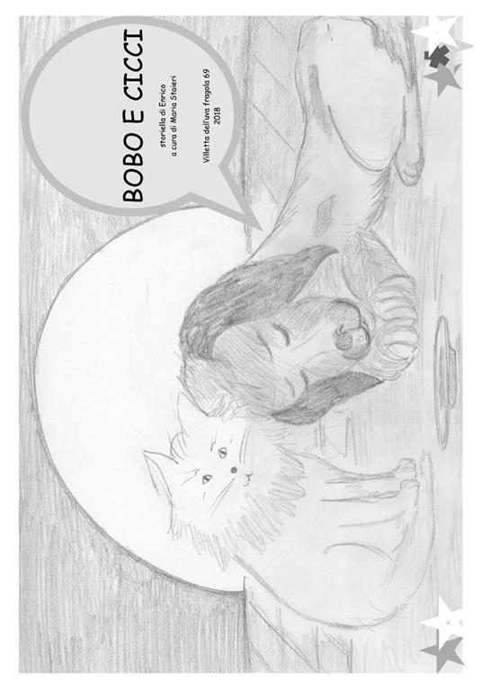 Bobo e Cicci. Ediz. illustrata - Enrico - copertina