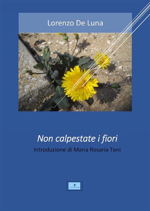 Non calpestate i fiori - Lorenzo De Luna - ebook
