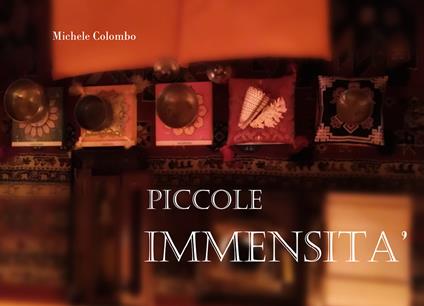 Piccole immensità - Michele Colombo - copertina