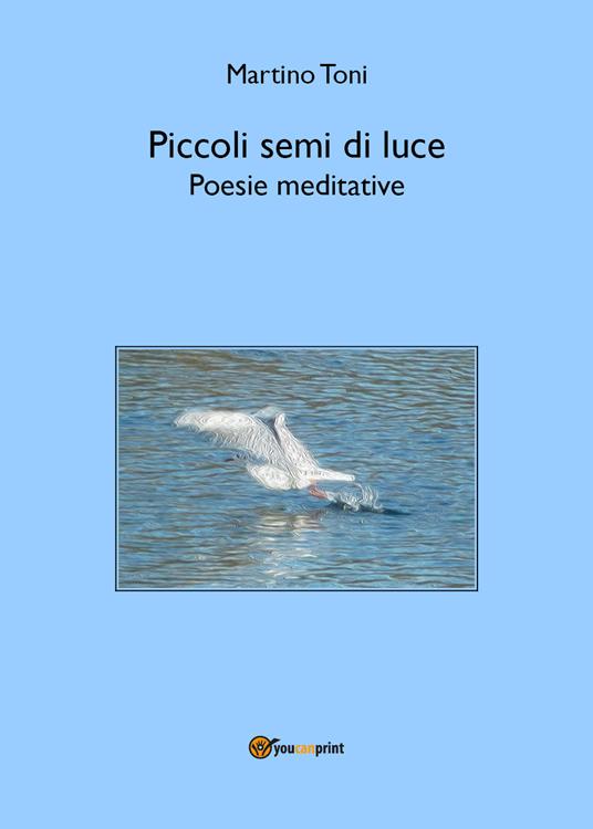 Piccoli semi di luce. Poesie meditative - Martino Toni - copertina