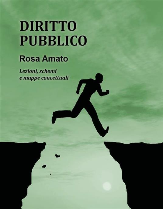 Diritto pubblico - Rosa Amato - ebook