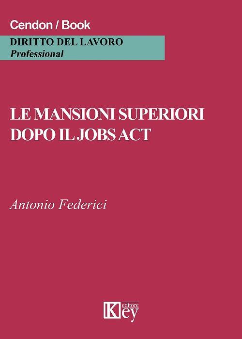 Le mansioni superiori dopo il jobs act - Antonio Federici - copertina
