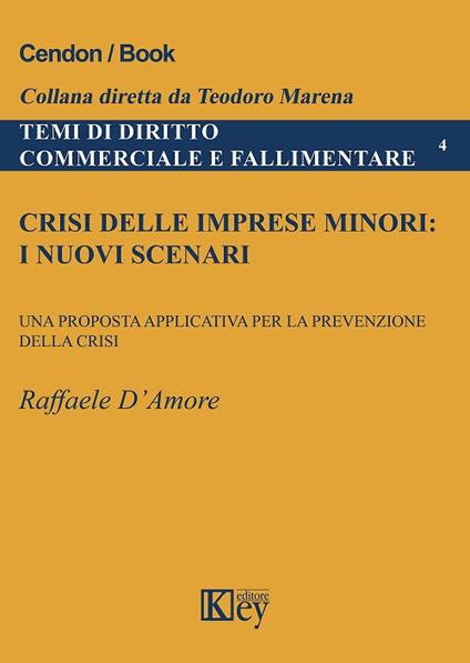 Crisi delle imprese minori: i nuovi scenari. Una proposta applicativa per la prevenzione della crisi - D'Amore R. - copertina