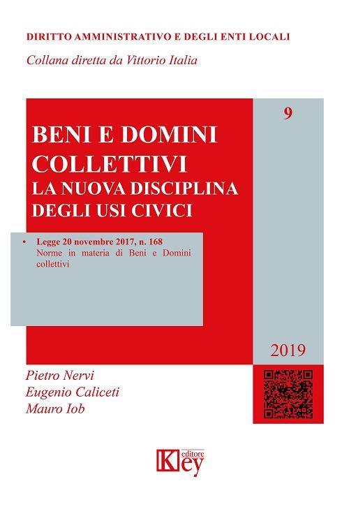 Beni e domini collettivi - Pietro Nervi,Eugenio Caliceti,Mauro Iob - copertina