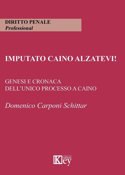 Imputato Caino alzatevi! Genesi e cronaca dell'unico processo a Caino - Domenico Carponi Schittar - copertina