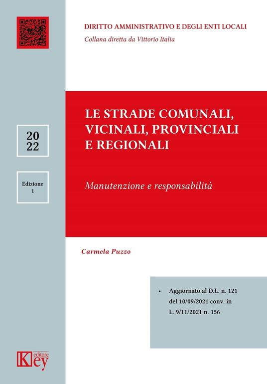Le strade comunali, vicinali, provinciali e regionali - Carmela Puzzo - ebook