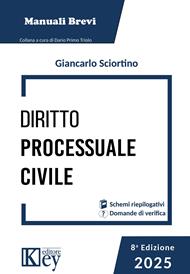 Diritto processuale civile 2025