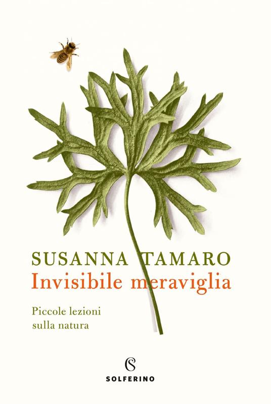 Invisibile meraviglia. Piccole lezioni sulla natura - Susanna Tamaro - ebook