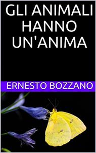 Gli animali hanno un'anima