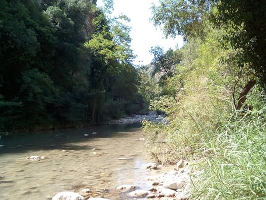 Sulle tracce del mio lupo. Viaggio in Abruzzo via terra e via mare - Stefano Sicurani - ebook