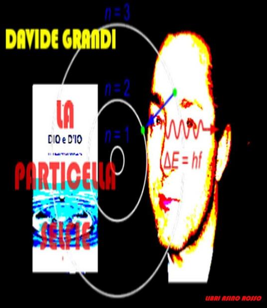 La particella selfie. Webgrafia di un cosmoscrittore - Davide Grandi - ebook