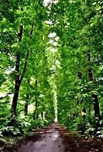 Il parco magico