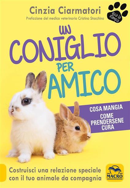 Un coniglio per amico. Costruisci una relazione speciale con il tuo animale da compagnia. Cosa mangia, come prendersene cura - Cinzia Ciarmatori - ebook