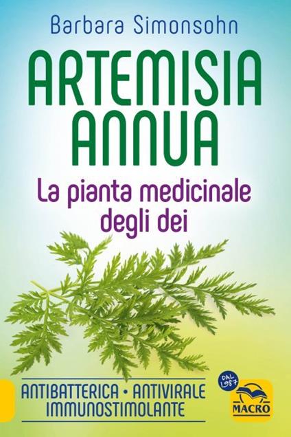 Artemisia annua. La pianta medicinale degli dei. Antibatterica, antivirale, immunostimolante - Barbara Simonsohn - copertina