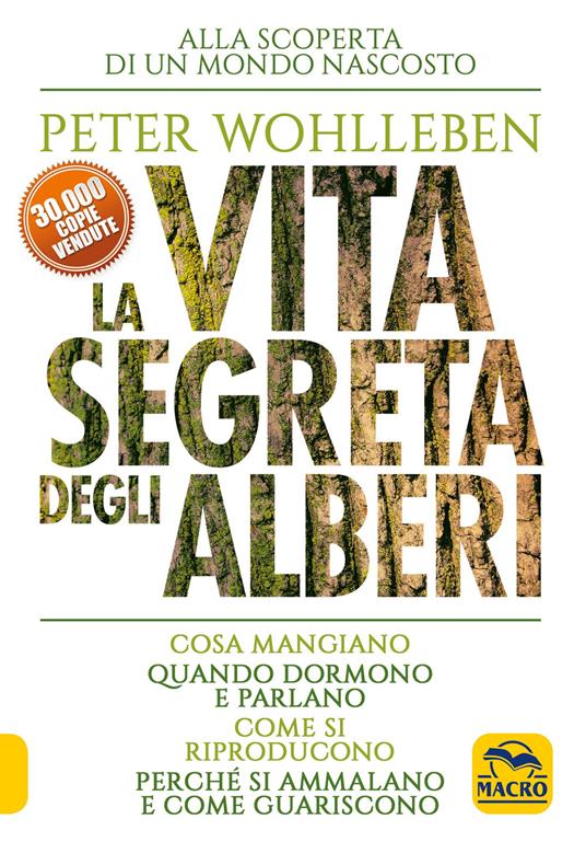 La vita segreta degli alberi. Cosa mangiano. Quando dormono e parlano. Come si riproducono. Perché si ammalano e come guariscono - Peter Wohlleben - copertina