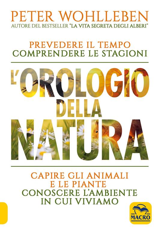 L'orologio della natura. Prevedere il tempo comprendere le stagioni capire gli animali e le piante conoscere l'ambiente in cui viviamo - Peter Wohlleben - copertina