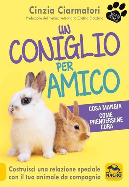 Un coniglio per amico. Costruisci una relazione speciale con il tuo animale da compagnia. Cosa mangia, come prendersene cura - Cinzia Ciarmatori - copertina