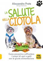 Nome prodotto