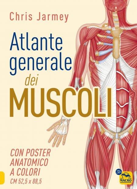 Atlante generale dei muscoli. Con poster anatomico a colori - Chris Jarmey - copertina