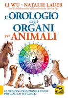 Nome prodotto