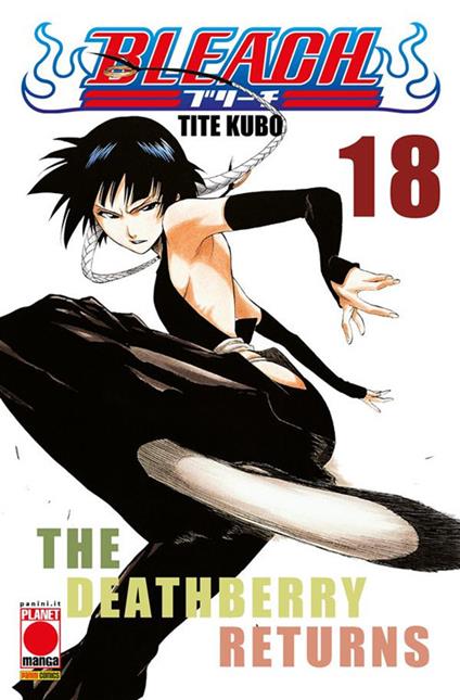 The Bleach. Vol. 18 - Tite Kubo - ebook