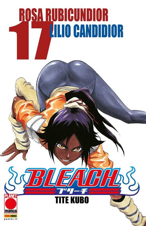 Bleach. Vol. 17 - Tite Kubo - ebook