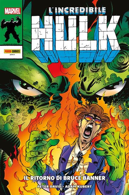 Il ritorno di Bruce Banner. L'incredibile Hulk - Adam Kubert,David Peter - ebook