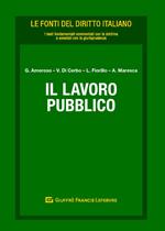 Il lavoro pubblico