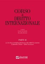 Corso di diritto internazionale