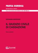 Il giudizio civile di Cassazione