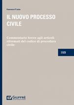 Il nuovo processo civile