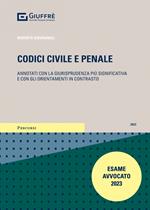 Codici civile e penale. Ultime annotazioni giurisprudenziali