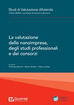 La valutazione delle nanoimprese, degli studi professionali e dei consorzi