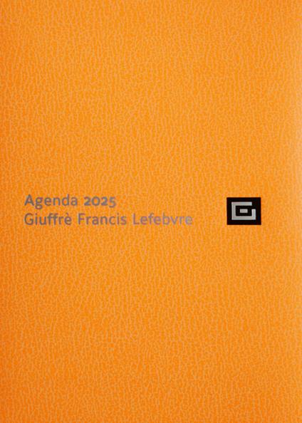 Agenda d'udienza 2025. Ediz. fluo arancio - copertina