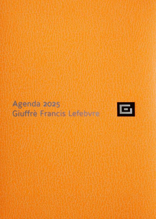Agenda d'udienza 2025. Ediz. fluo arancio - copertina