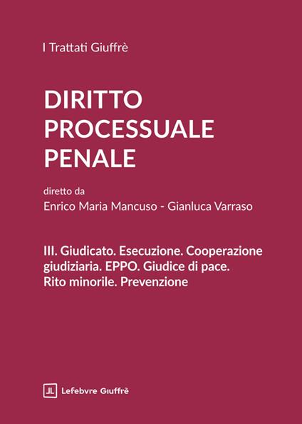 Diritto processuale penale. Vol. 3: Giudicato. Esecuzione. Cooperazione giudiziaria. EPPO. Giudice di pace. Rito minorile. Prevenzione - copertina