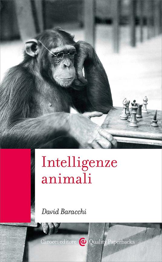 Intelligenze animali - David Baracchi - copertina