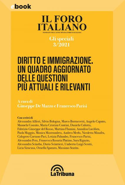 Diritto e immigrazione. Un quadro aggiornato delle questioni più attuali e rilevanti - Giuseppe De Marzo,Francesco Parisi - ebook
