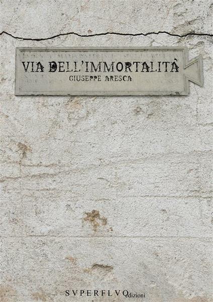 Via dell'immortalità - Giuseppe Aresca - ebook