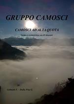 Camosci ad alta quota. Guida escursionistica