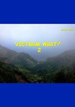 Vietnam what?. Vol. 2