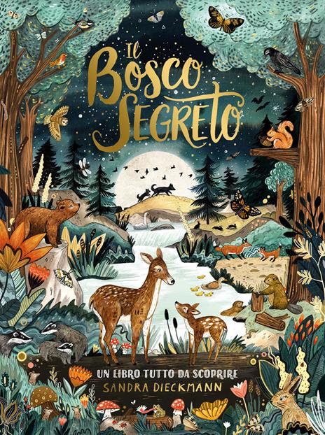 Il bosco segreto. Ediz. a colori - Sandra Dieckmann - copertina
