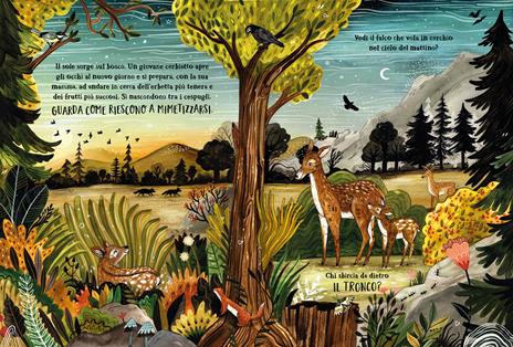 Il bosco segreto. Ediz. a colori - Sandra Dieckmann - 2