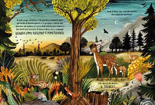 Il bosco segreto. Ediz. a colori - Sandra Dieckmann - 2