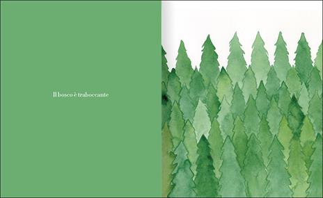 BOSCO. Ediz. a colori - Christie Matheson - 2